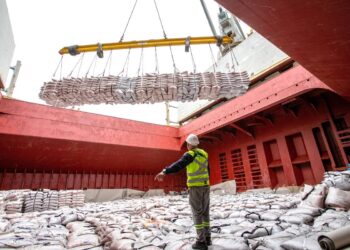 Exportação de açúcar a granel tem alta de 352% nos portos paranaenses em março