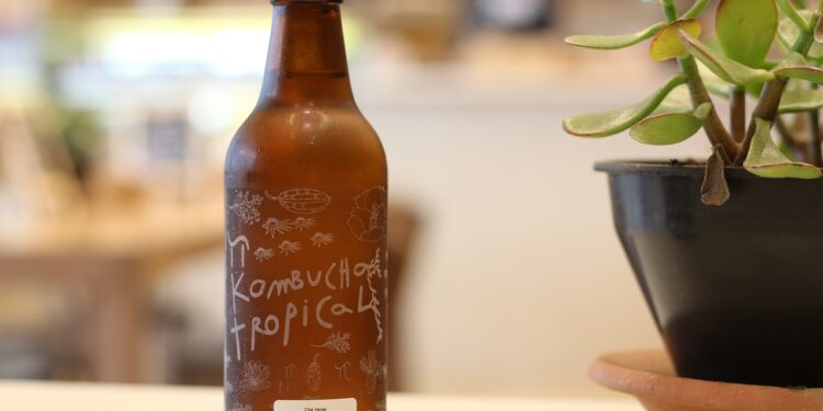 Pesquisa revela impacto do kombucha no metabolismo e na perda de gordura