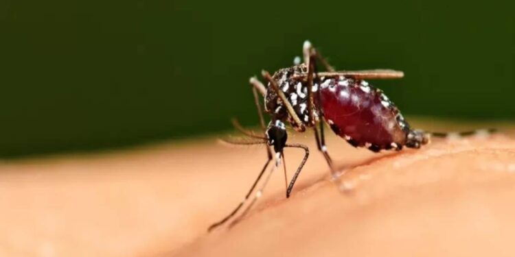 Imagem: Brasil Escola