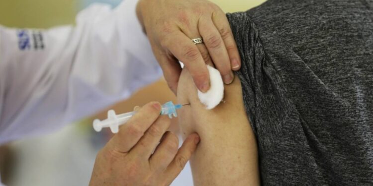 Saúde alerta para vigilância e imunização contra febre amarela