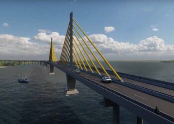 Nova ponte deve proporcionar retorno de fauna marinha à Baia de Guaratuba