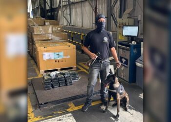 Receita Federal apreende mais de 50 quilos de cocaína no Terminal de Contêineres do Porto de Paranaguá