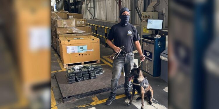 Receita Federal apreende mais de 50 quilos de cocaína no Terminal de Contêineres do Porto de Paranaguá