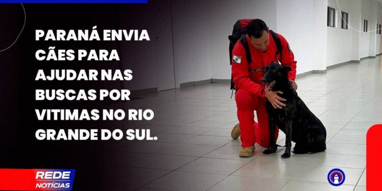 [VÍDEO] Cães e bombeiros do Paraná embarcam para o RS para ajudar em buscas por vítimas