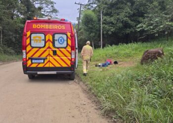 [VÍDEO] Rapaz é executado com tiro na cabeça na zona rural de Paranaguá