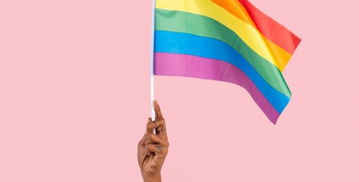 Veja alguns países que já legalizaram o casamento homoafetivo