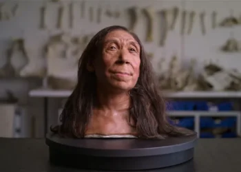 Cientistas revelam o rosto da mulher neandertal que viveu há 75 mil anos