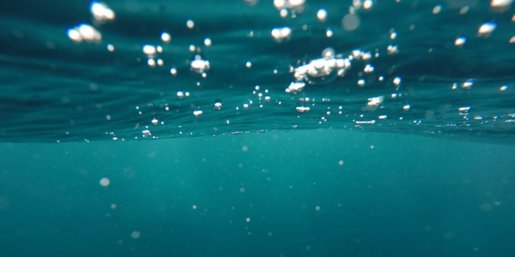 Cientistas de harvard acreditam ter encontrado sinais de alerta para extinção nos oceanos