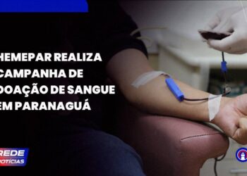 [VÍDEO] 14 de junho é celebrado o Dia Mundial do Doador de Sangue
