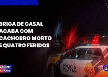 [VÍDEO] Homem instiga cachorro contra quatro pessoas durante briga de casal na Ilha dos Valadares