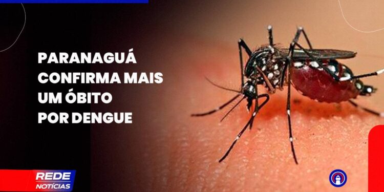 [VÍDEO]Litoral do Paraná confirma 309 novos casos de Dengue