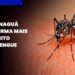 [VÍDEO]Litoral do Paraná confirma 309 novos casos de Dengue