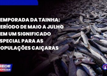 [VÍDEO] Temporada da tainha movimenta a gastronomia caiçara no Litoral do Paraná