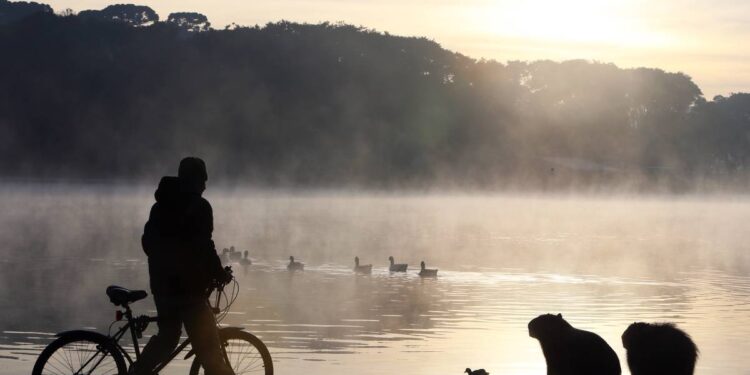 Simepar indica frio rigoroso no fim de semana, com temperaturas negativas no Sul do Estado
