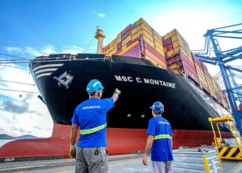 Importação cresce 14% nos portos paranaenses nos cinco primeiros meses de 2024