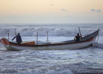 Temporada da tainha movimenta a gastronomia caiçara do Litoral