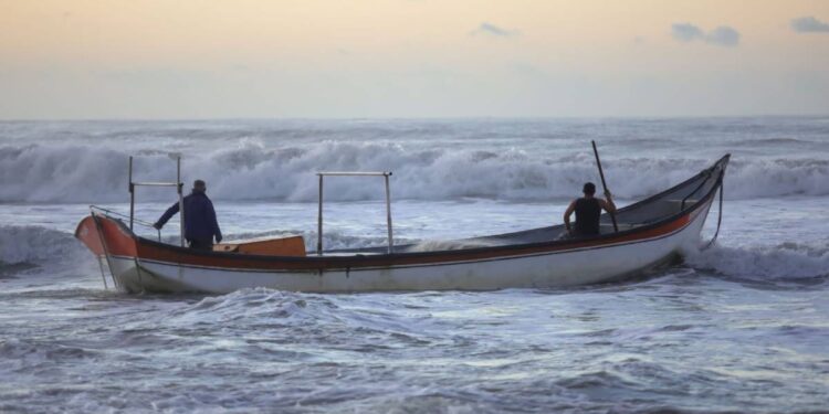Temporada da tainha movimenta a gastronomia caiçara do Litoral