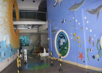 [VÍDEO] Confira as novidades desta semana no Aquário de Paranaguá