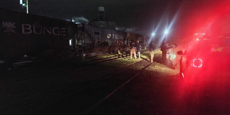 [VÍDEO] Corpo mutilado é encontrado pendurado entre vagões na região da Vila São Jorge