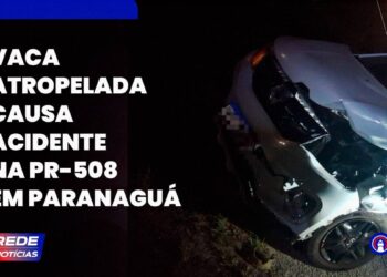 [VÍDEO] Mulheres ficam feridas após motocicleta bater em uma vaca na PR-508 em Paranaguá