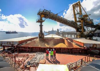 Exportação de soja pelos portos paranaenses cresce 4 vezes mais que a média nacional