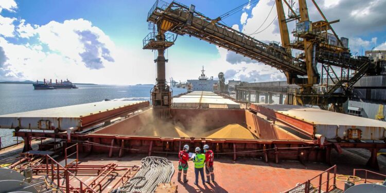 Exportação de soja pelos portos paranaenses cresce 4 vezes mais que a média nacional