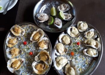 [VÍDEO] Moluscos voltam a ser comercializados e consumidos em Guaratuba