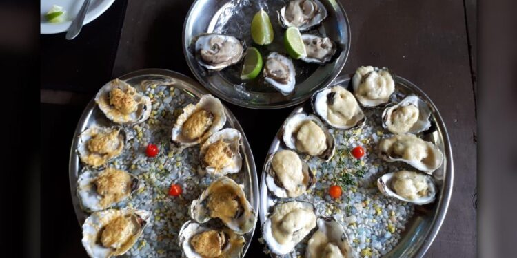 [VÍDEO] Moluscos voltam a ser comercializados e consumidos em Guaratuba