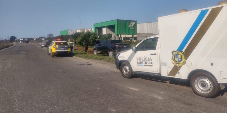 [VÍDEO] Braço humano é encontrado junto a linha férrea em Paranaguá
