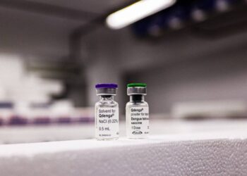 Paraná recebe mais 26.630 doses da vacina contra dengue