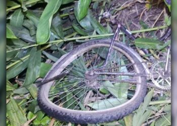 [VÍDEO] Dois ciclistas morrem atropelados no litoral no fim de semana