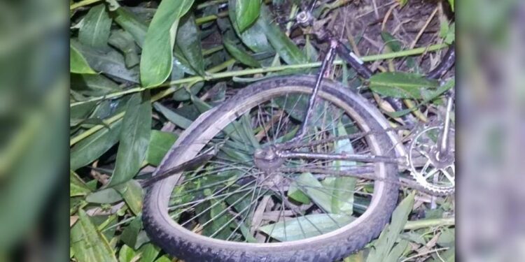 [VÍDEO] Dois ciclistas morrem atropelados no litoral no fim de semana