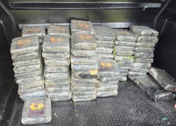 [VÍDEO] Tenente Szlanda, da Patrulha Costeira, trás detalhes sobre grande apreensão de cocaína em Paranaguá