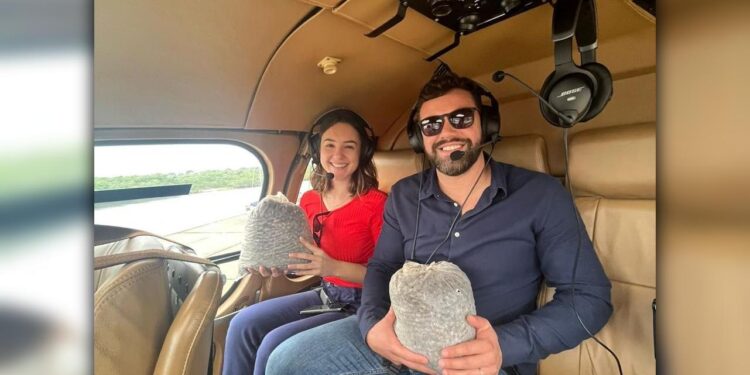 [VÍDEO] IAT dispersa 50 mil sementes de palmito-juçara em Unidades de Conservação do Litoral