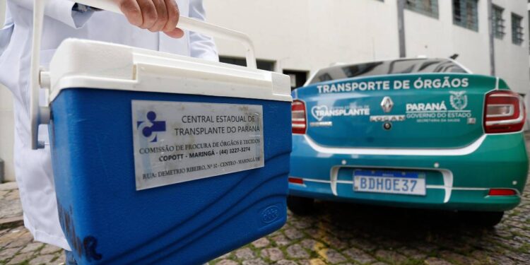 Maior doador do País, Paraná celebra mês de conscientização para doação de órgãos
