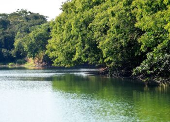 Estado estabelece novas diretrizes e critérios para o enfrentamento da estiagem