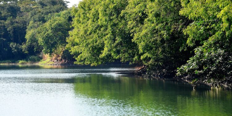 Estado estabelece novas diretrizes e critérios para o enfrentamento da estiagem