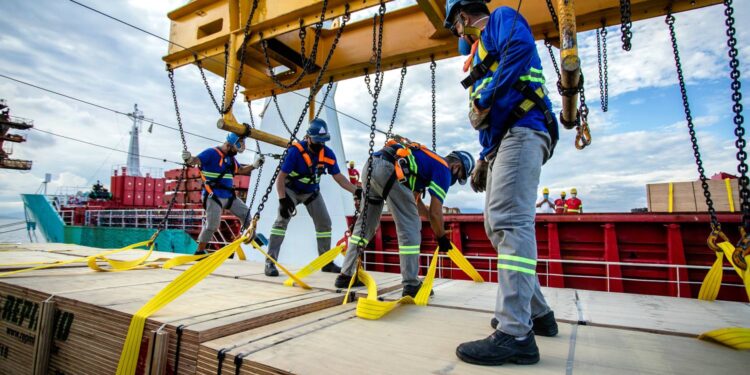 [VÍDEO] OGMO celebra os seus 30 anos de atividades em paranaguá