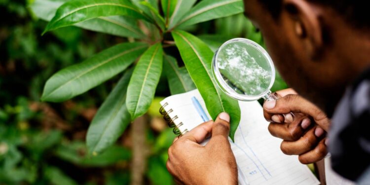 [VÍDEO] Hoje, 3 de setembro, é celebrado o Dia do Biólogo