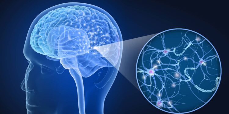 [VÍDEO] Dia 30 de agosto foi lembrado o Dia Nacional de Conscientização sobre a Esclerose Múltipla