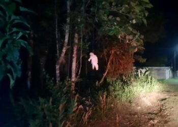 Susto em Alexandra; Socorristas do SAMU encontram boneca pendurada em árvore durante atendimento de ocorrência