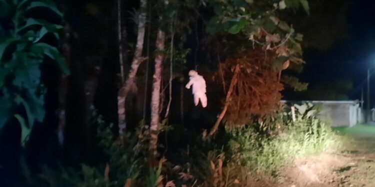 Susto em Alexandra; Socorristas do SAMU encontram boneca pendurada em árvore durante atendimento de ocorrência