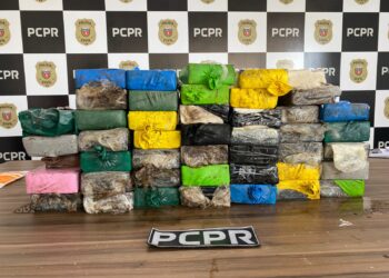 Polícia Civil apreende aproximadamente 85 quilos de cocaína em Paranaguá