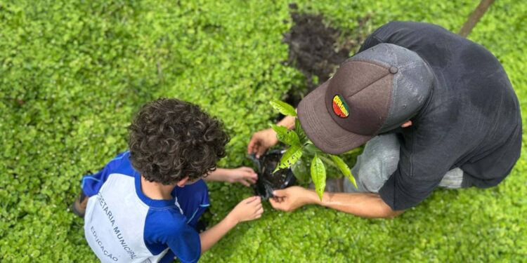 Portos do Paraná encerra outubro com capacitação de pescadores e plantio de árvores