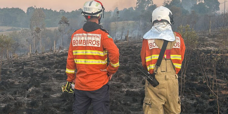 Incêndios florestais no Paraná caem 57% entre a primeira quinzena de setembro e outubro