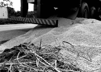 Suspeitos furtam farelo de soja que estava em caminhão na BR-277