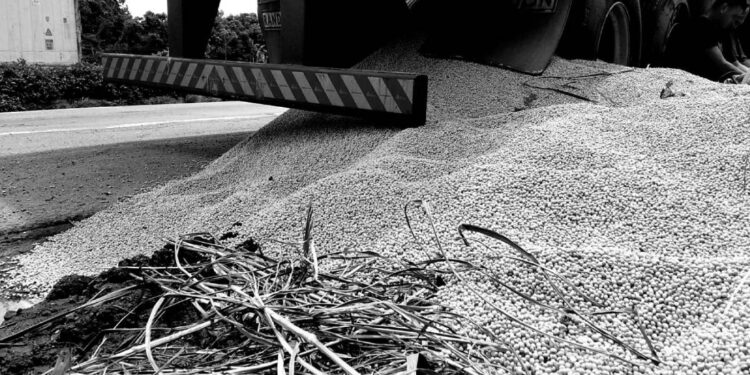 Suspeitos furtam farelo de soja que estava em caminhão na BR-277