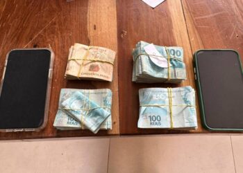 Polícia Federal deflagra Operação Pó de Serra para desarticular Organização Criminosa atuante no tráfico internacional de entorpecentes