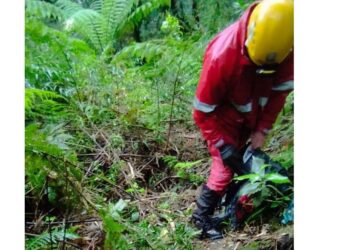 Corpo de Bombeiros encontra jovens que estavam perdidos em trilha de Campina Grande do Sul