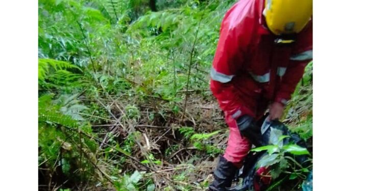 Corpo de Bombeiros encontra jovens que estavam perdidos em trilha de Campina Grande do Sul